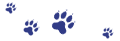 sm_imge_icon