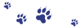 sm_imge_icon